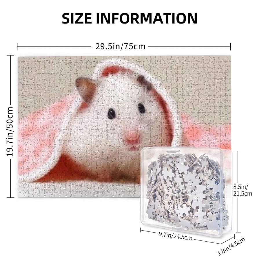 71sWSWGsY+L._UF894,1000_QL80_.jpg